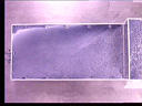 13b.jpg